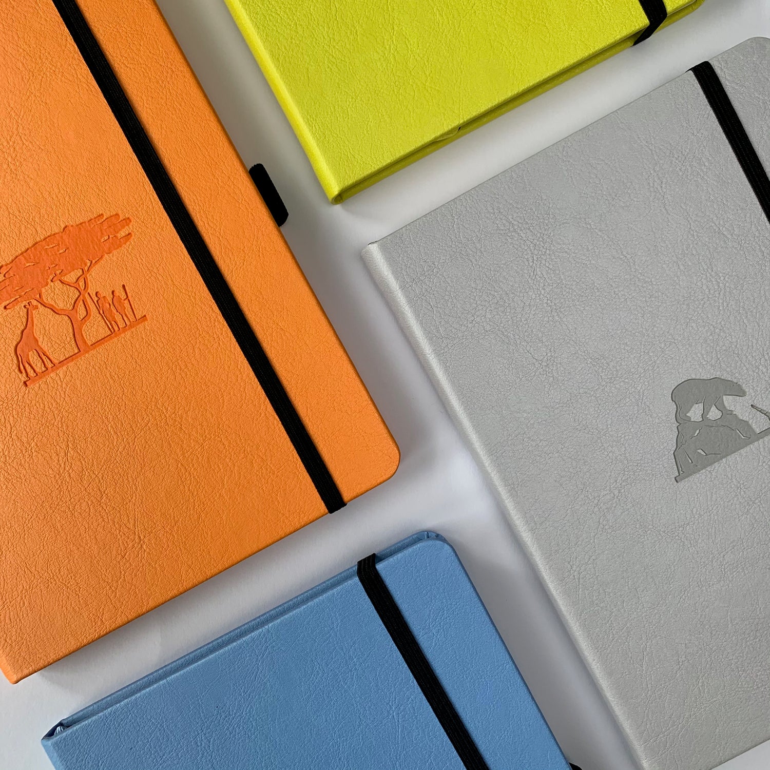 Dingbats* Earth Collection - Review Notitieboek