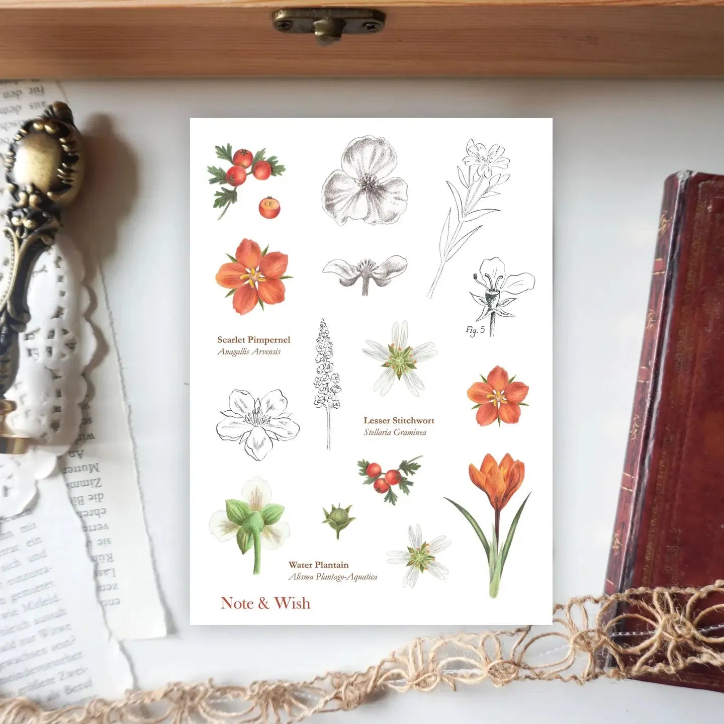 Note & Wish-DutchMills