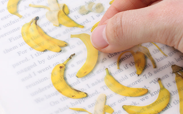 Appree - Fruit Sticker - Banana-Sticker-DutchMills