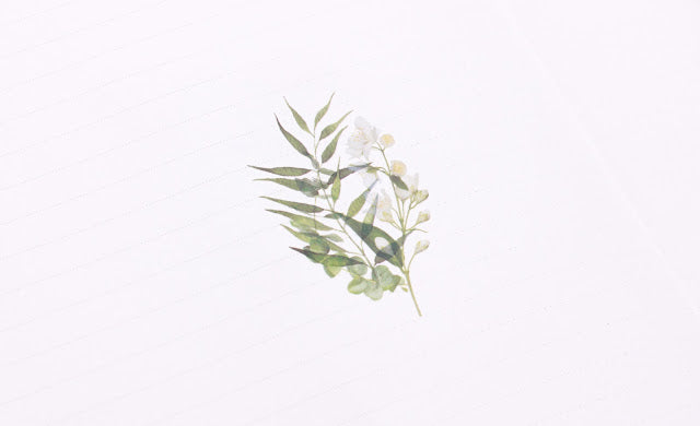 Appree - Rub-on-Sticker - Botanical Green-Sticker-DutchMills