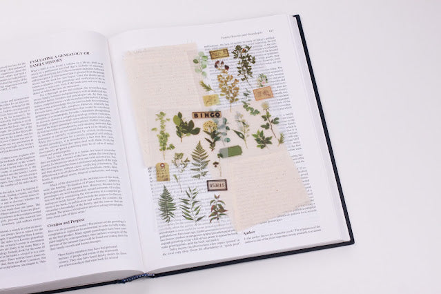 Appree - Rub-on-Sticker - Botanical Green-Sticker-DutchMills