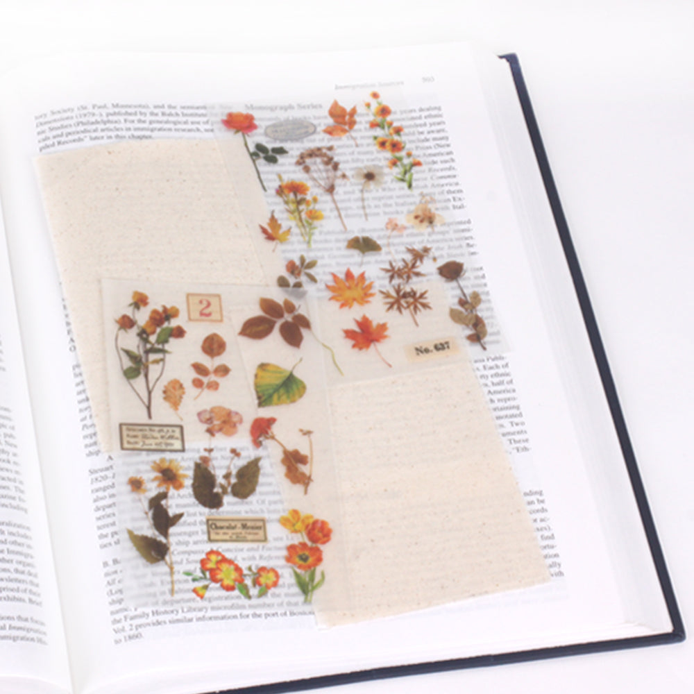 Appree - Rub-on-Sticker - Botanical Orange-Sticker-DutchMills