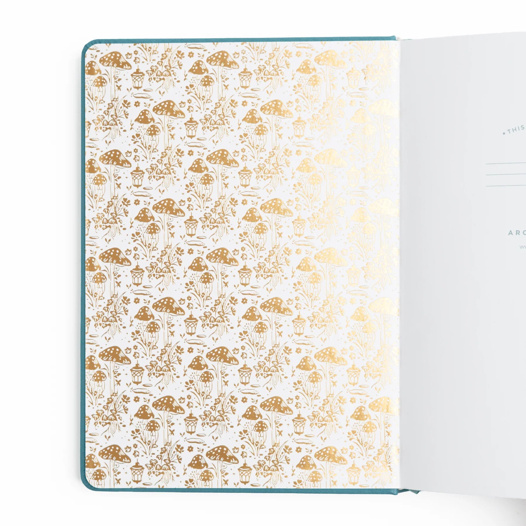 Archer & Olive - B5 Fairy House Dot Grid Notebook-Notitieboek-DutchMills