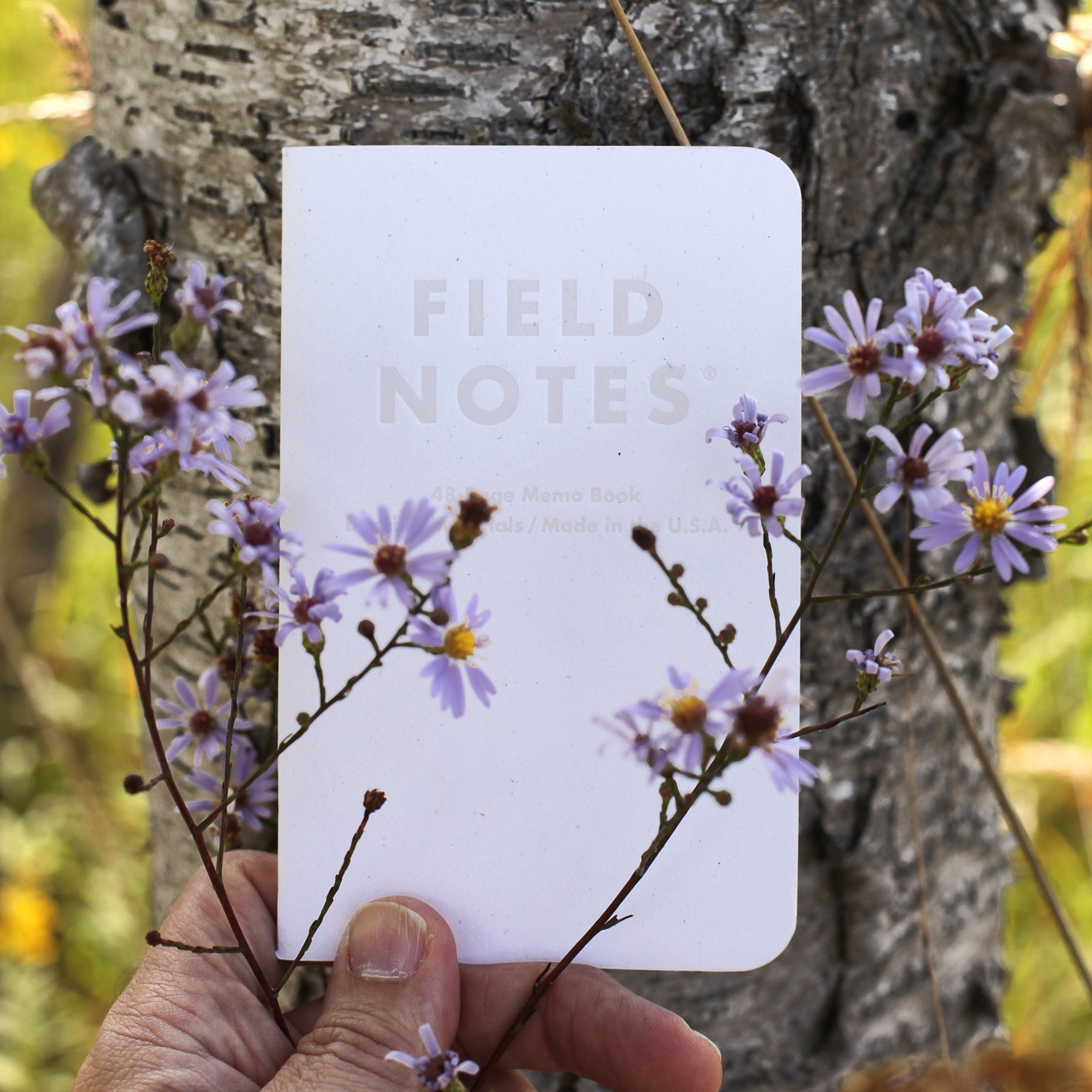 Field Notes - Birch Bark-Notitieboek-DutchMills