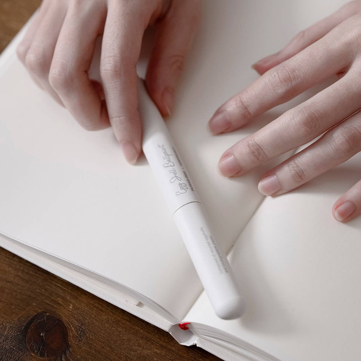 Egg Shell Ballpoint-DutchMills