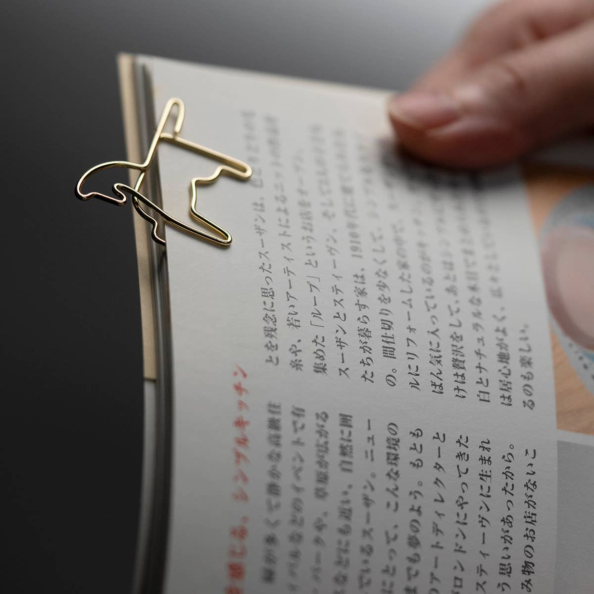 Win Win Clip (Set of 9)-DutchMills