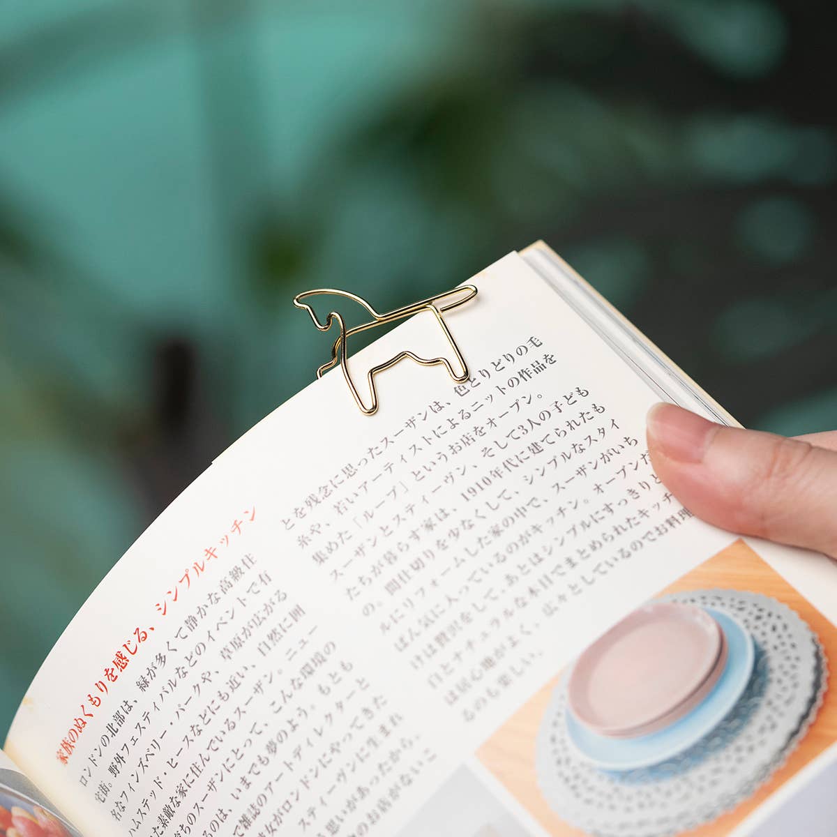 Win Win Clip (Set of 9)-DutchMills