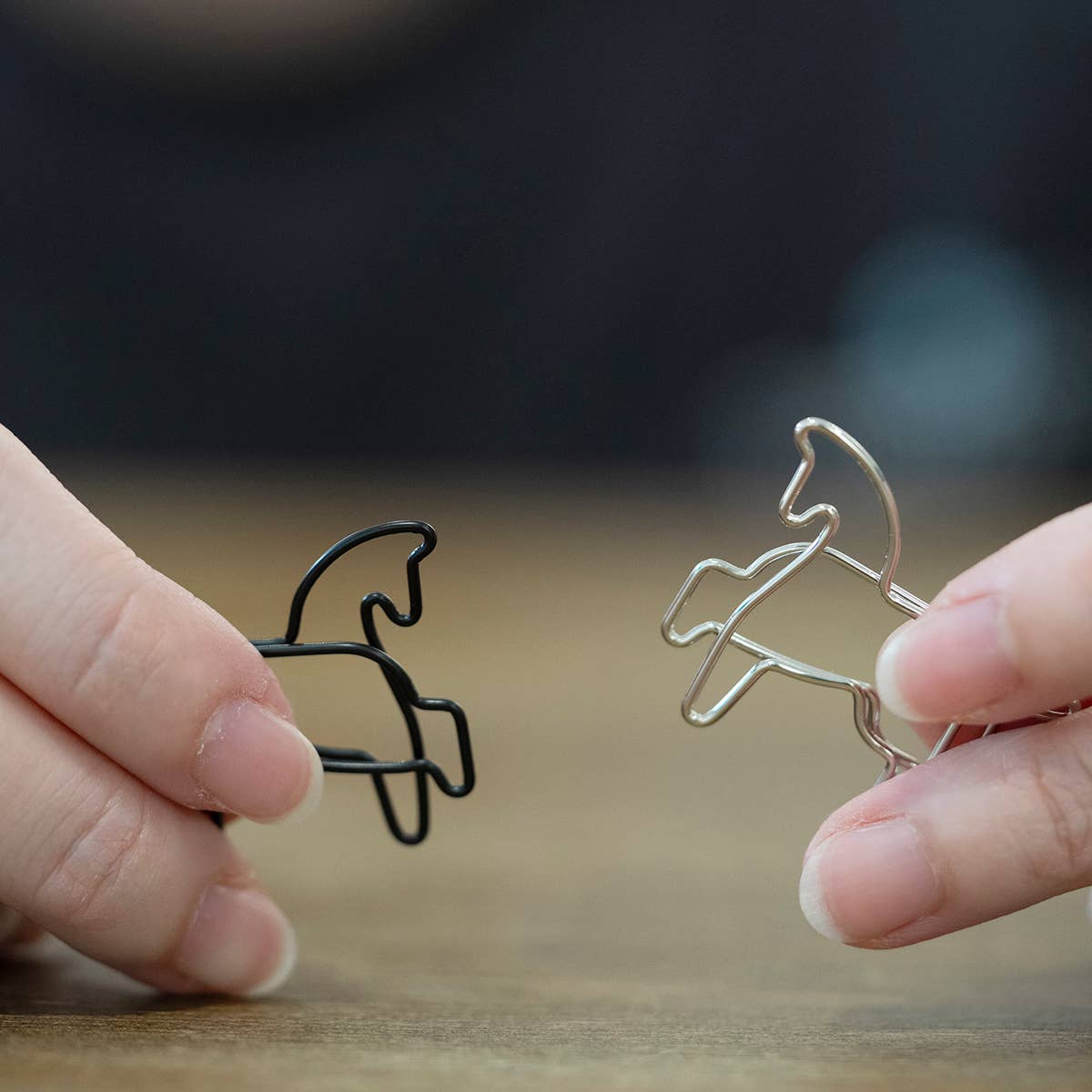 Win Win Clip (Set of 9)-DutchMills