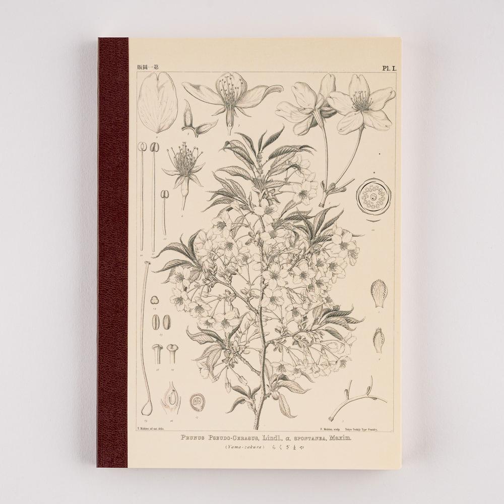 Hobonichi - Tomitaro Makino: Hobonichi Graph Notebook (A5) - Yamazakura - 2027-Notitieboek-DutchMills