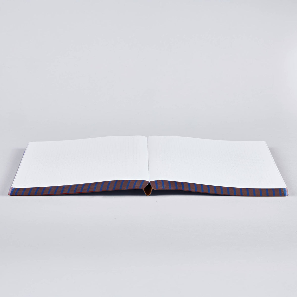 Notebook Graphic L Wild Mind-DutchMills