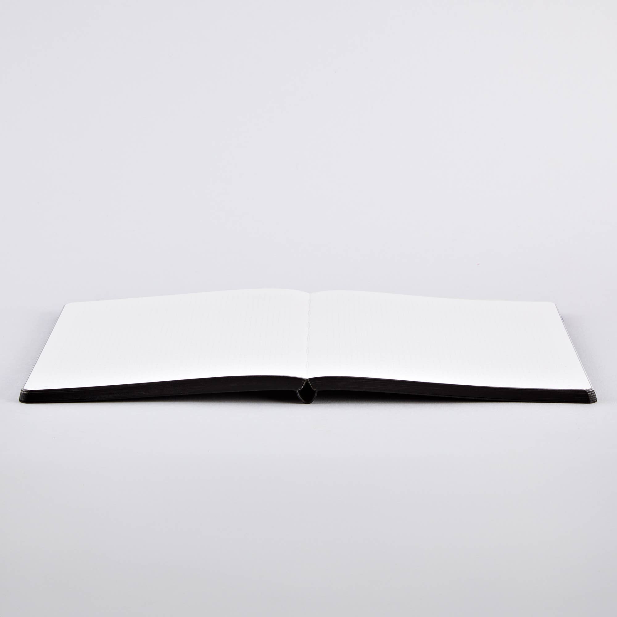 Rebel with a Cause - Not Ordinary L Light Notebook | A5+-DutchMills