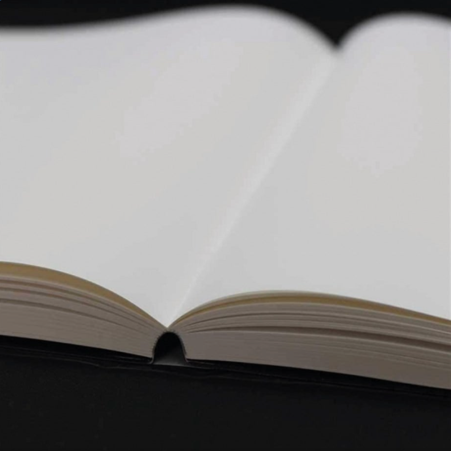 Tomoe River - Notebook hardcover 5mm Plain / A5 / White / 52 g/m2-Notitieboek-DutchMills