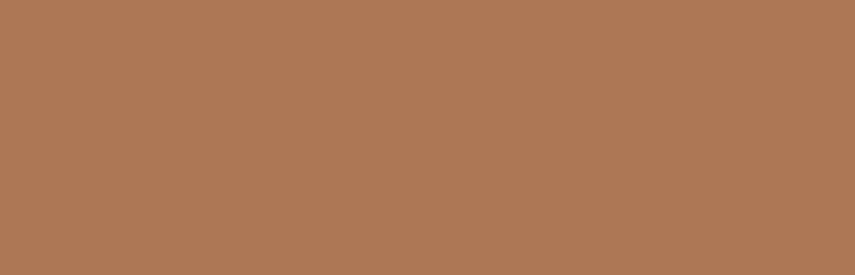 Washi Tape - brown cork / mt basic MT01P202RZ-DutchMills