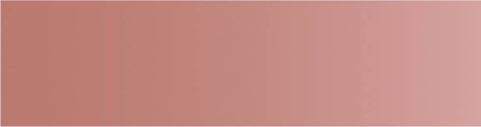 Washi Tape - light bronze / mt basic MT01P534Z-DutchMills