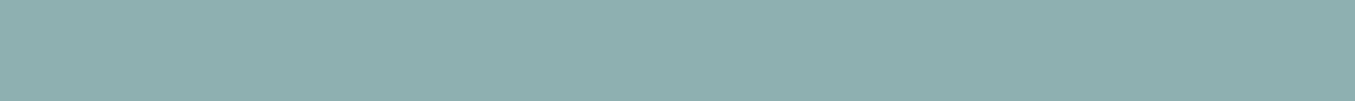 Washi Tape - mint green / mt basic MT1P554EZ-DutchMills
