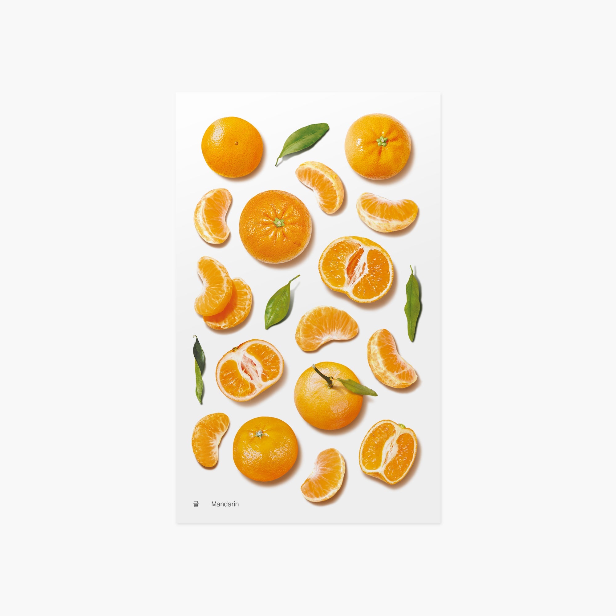 Appree - Fruit Sticker - Mandarin-Sticker-DutchMills