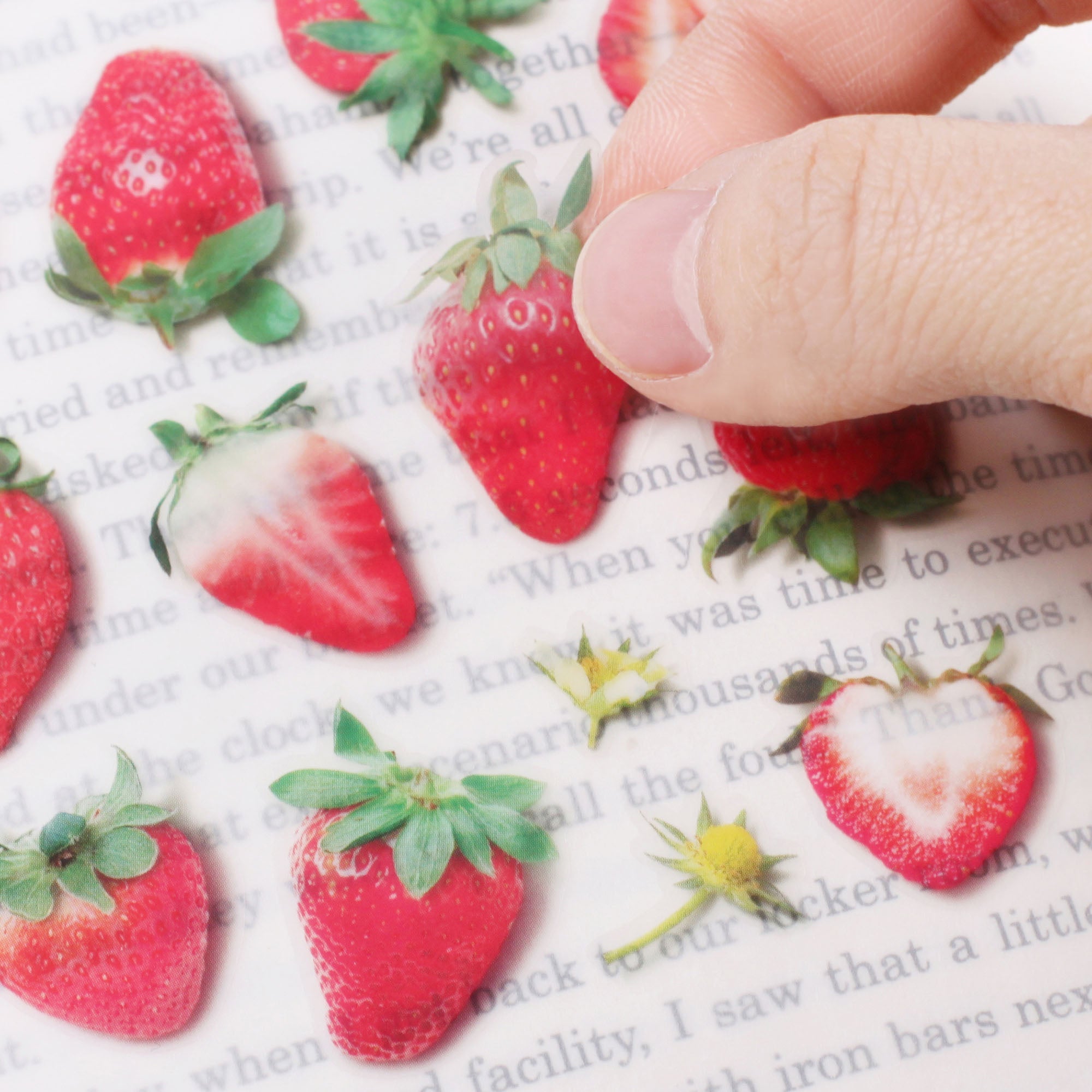 Appree - Fruit Sticker - Strawberry-Sticker-DutchMills