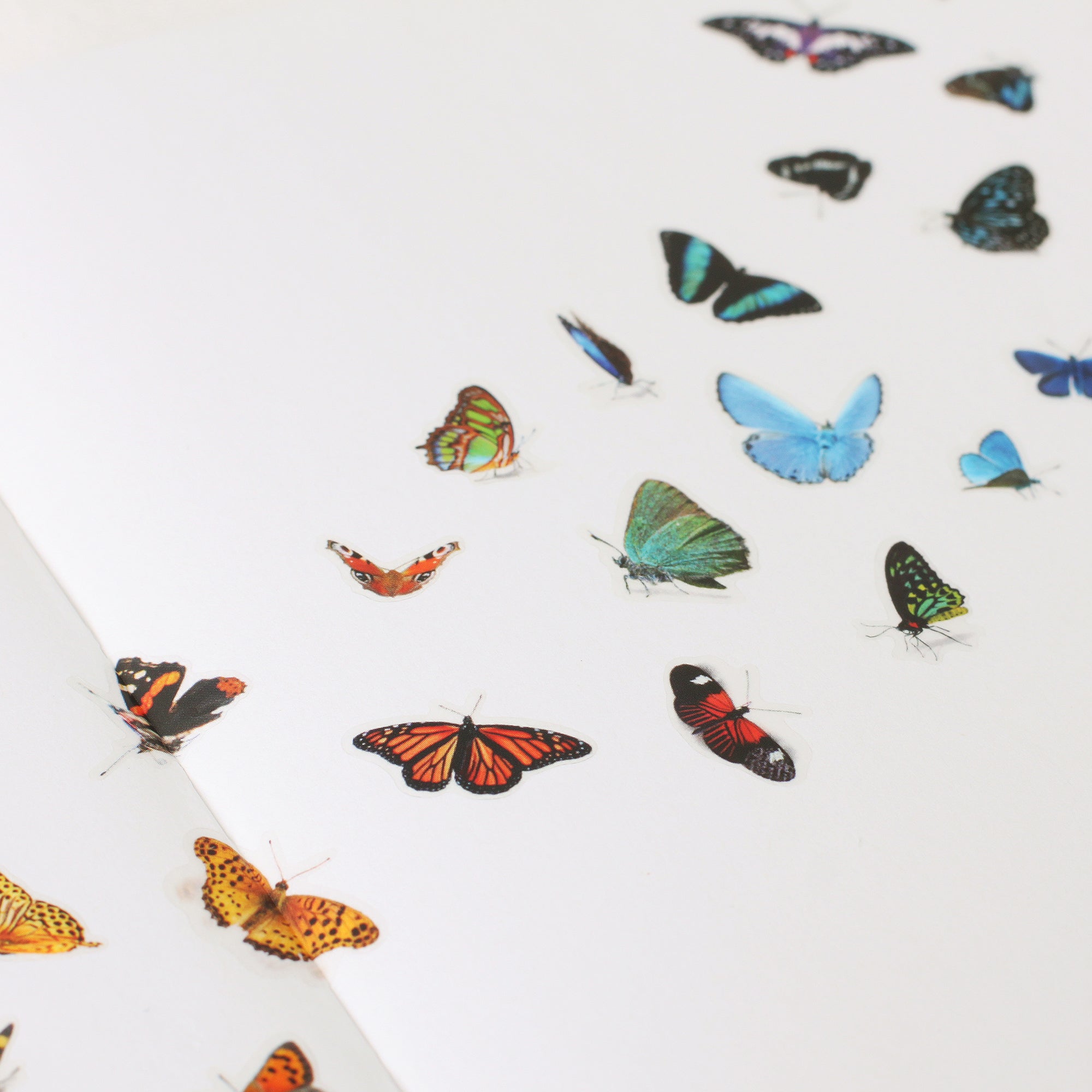 Appree - Nature Sticker - Butterfly-Sticker-DutchMills