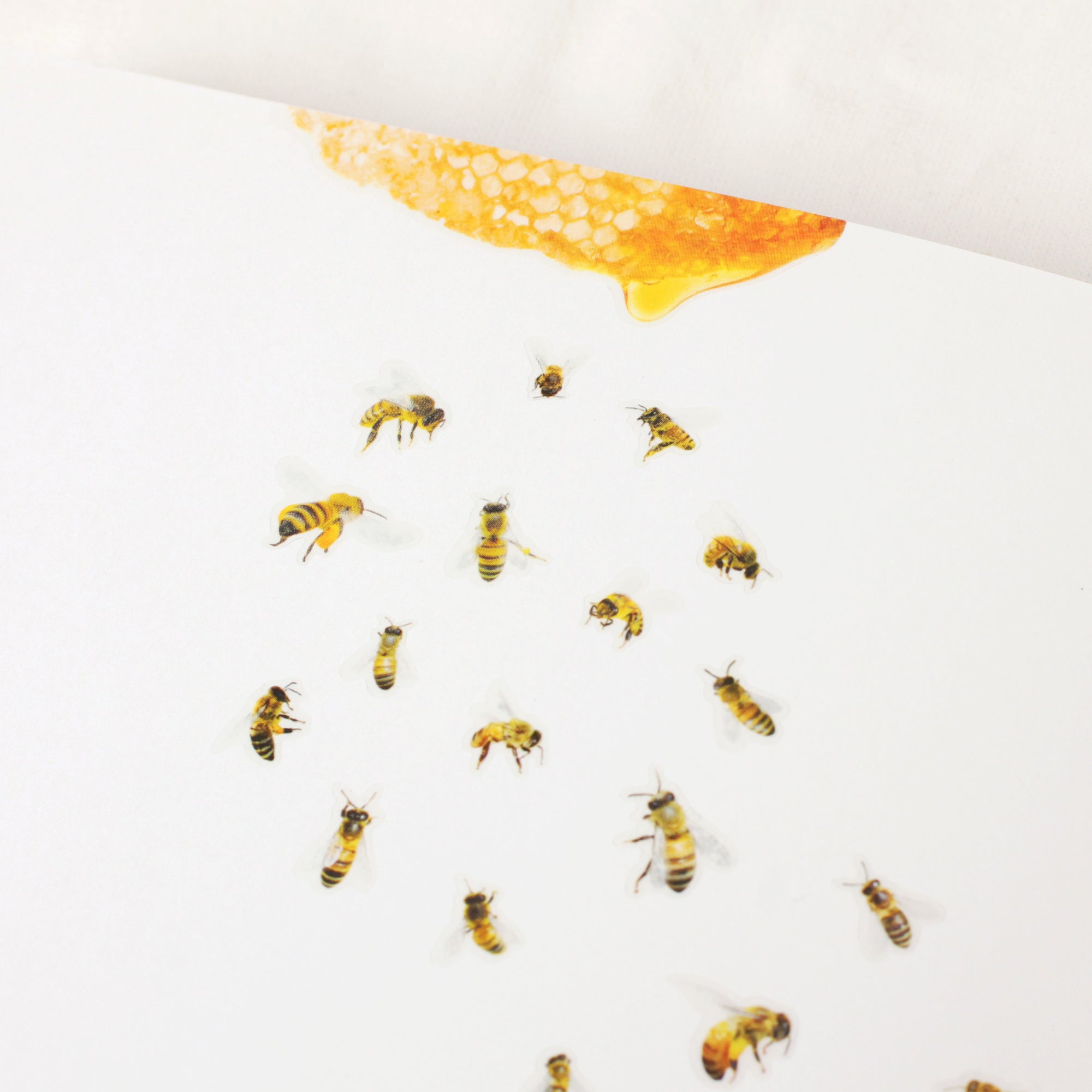 Appree - Nature Sticker - Honeybee-Sticker-DutchMills