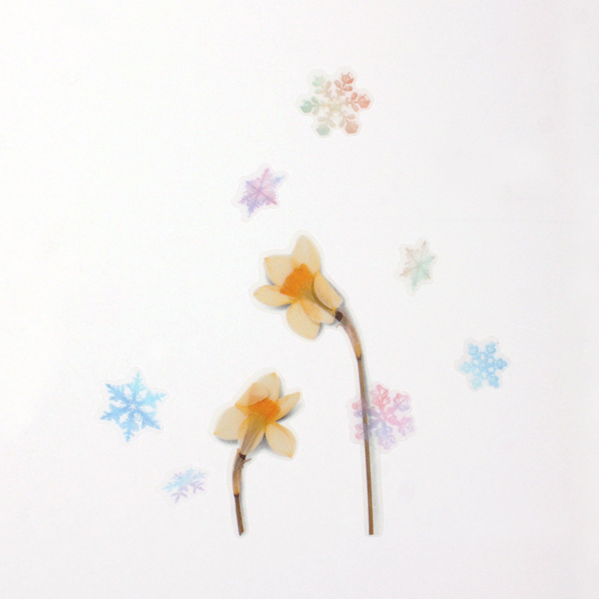 Appree - Nature Sticker - Snow-Sticker-DutchMills