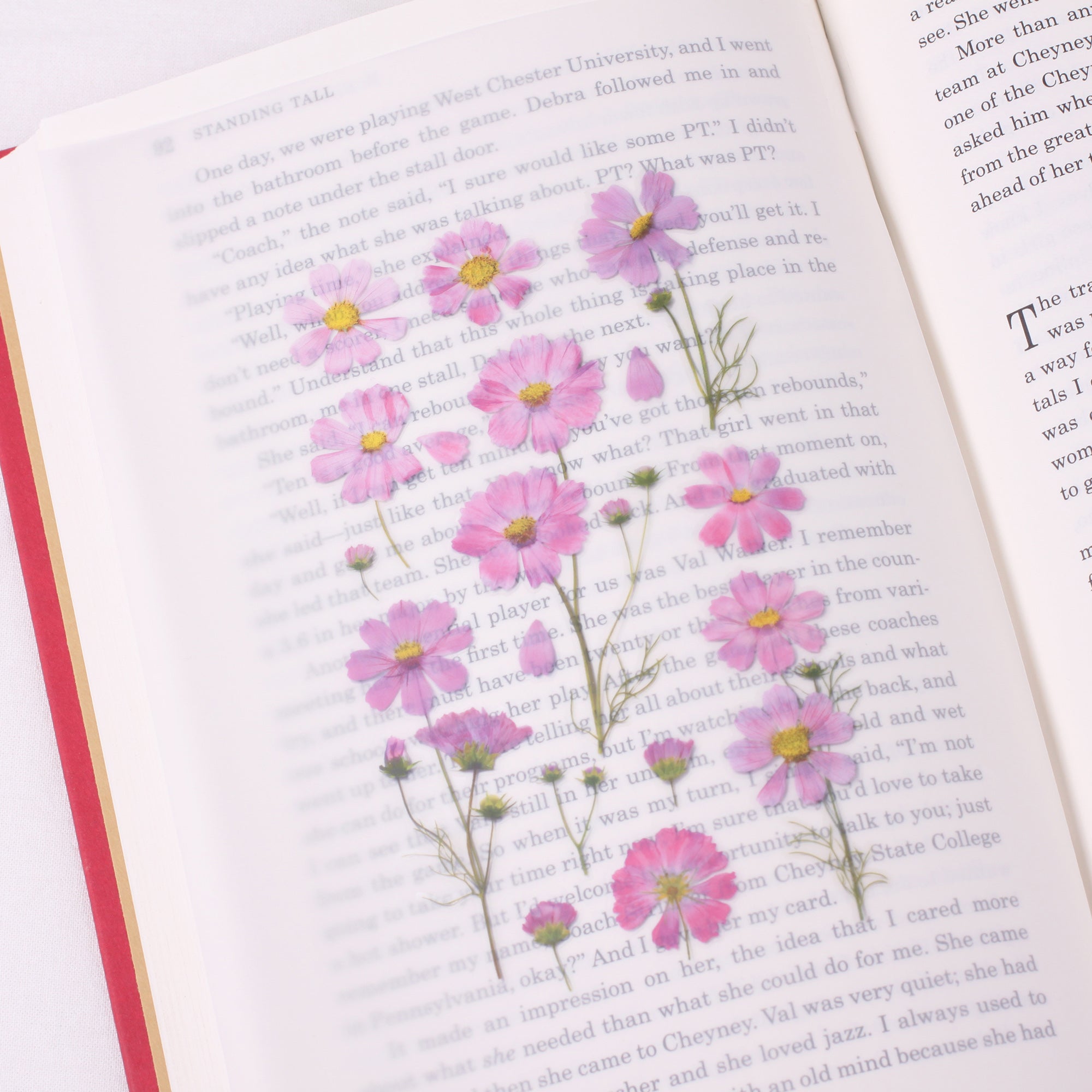 Appree - Pressed Flower Sticker - Cosmos-Sticker-DutchMills