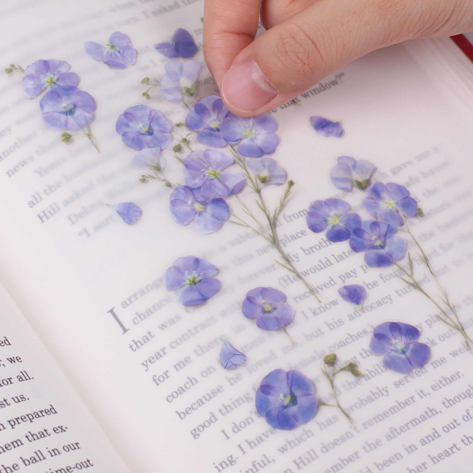 Appree - Pressed Flower Sticker - Flax-Sticker-DutchMills