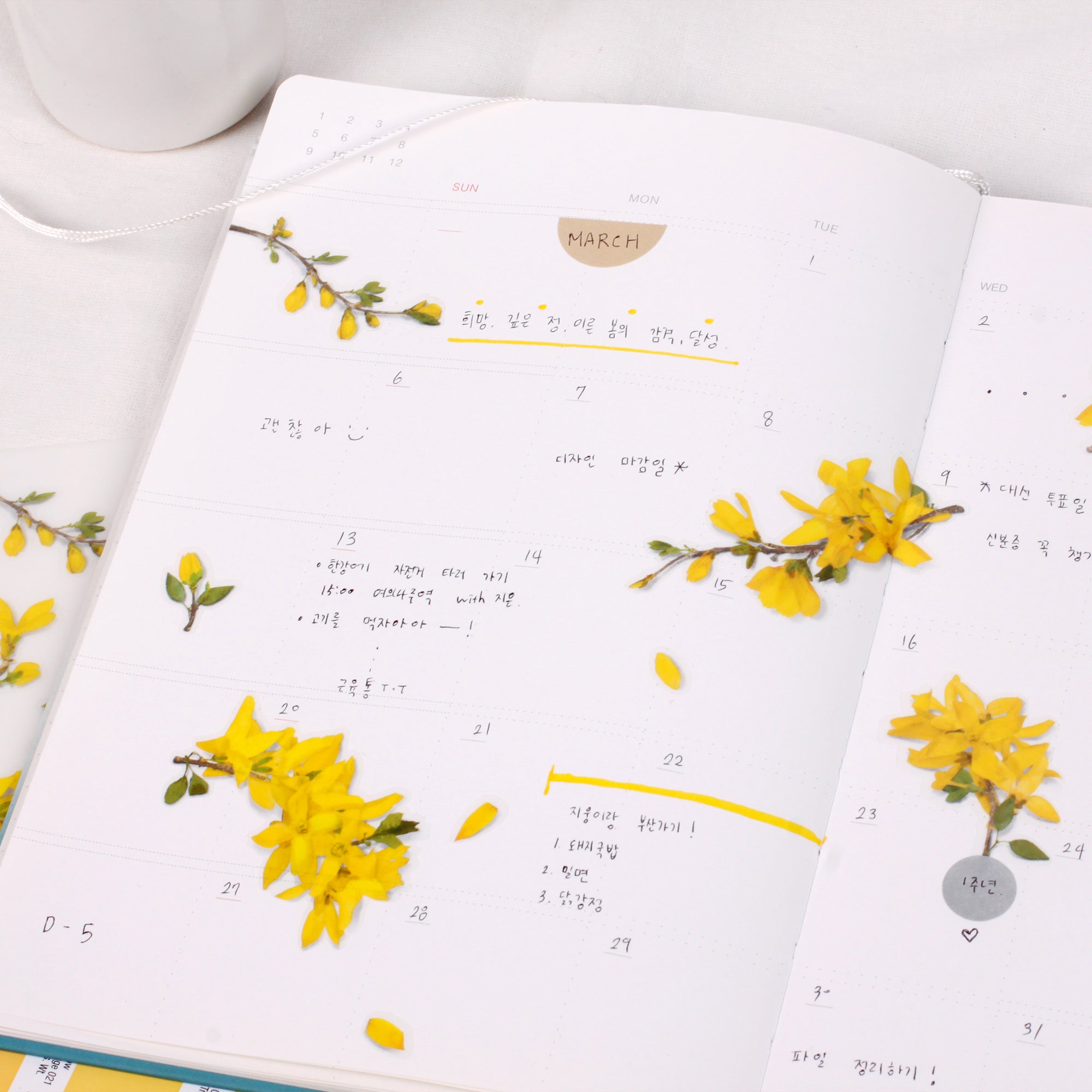 Appree - Pressed Flower Sticker - Forsythia-Sticker-DutchMills
