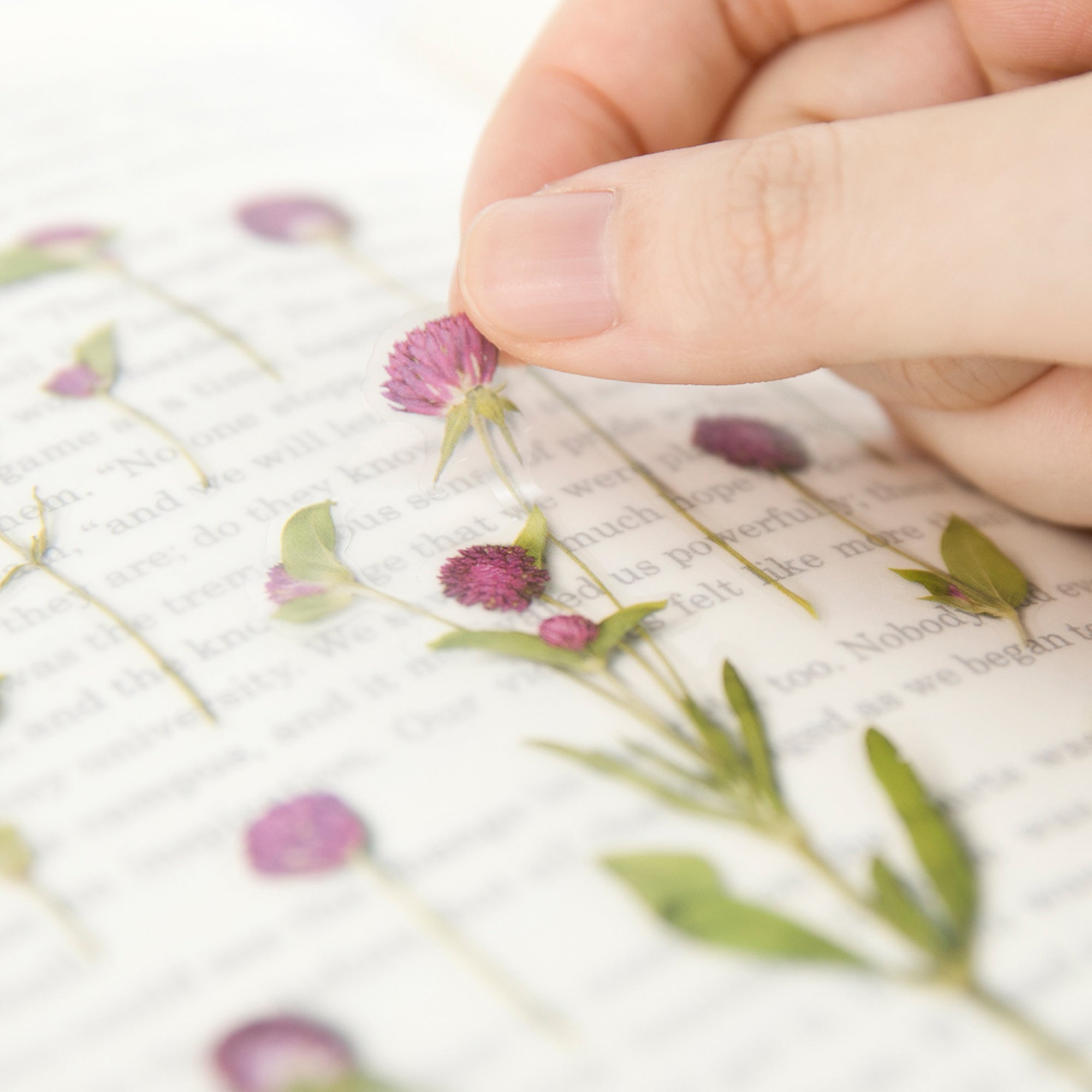 Appree - Pressed Flower Sticker - Globe Amaranth-Sticker-DutchMills