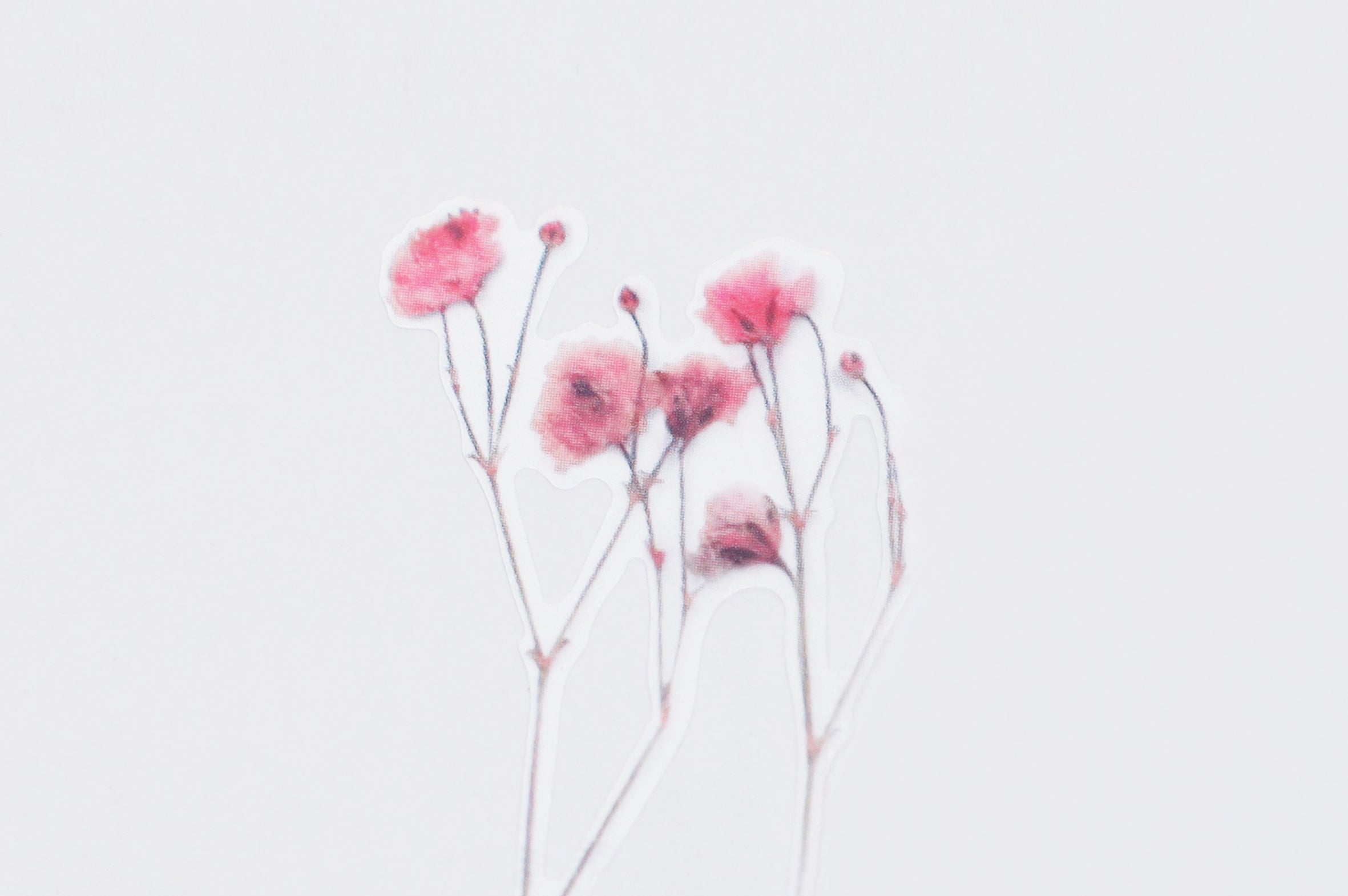 Appree - Pressed Flower Sticker - Gypsophila-Sticker-DutchMills