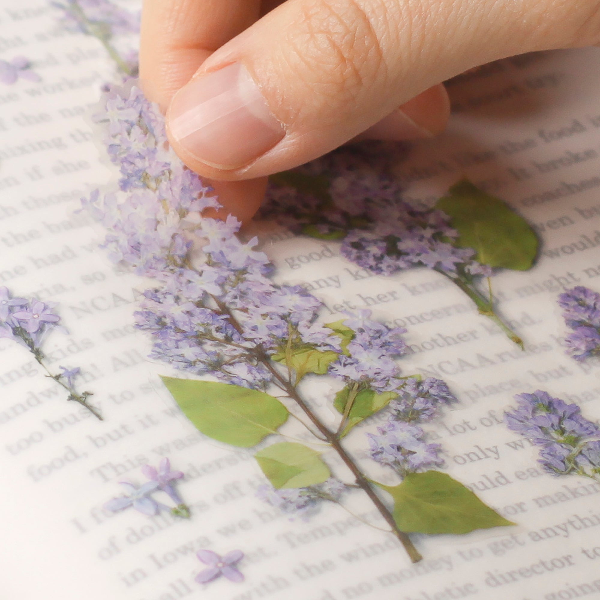 Appree - Pressed Flower Sticker - Lilac-Sticker-DutchMills