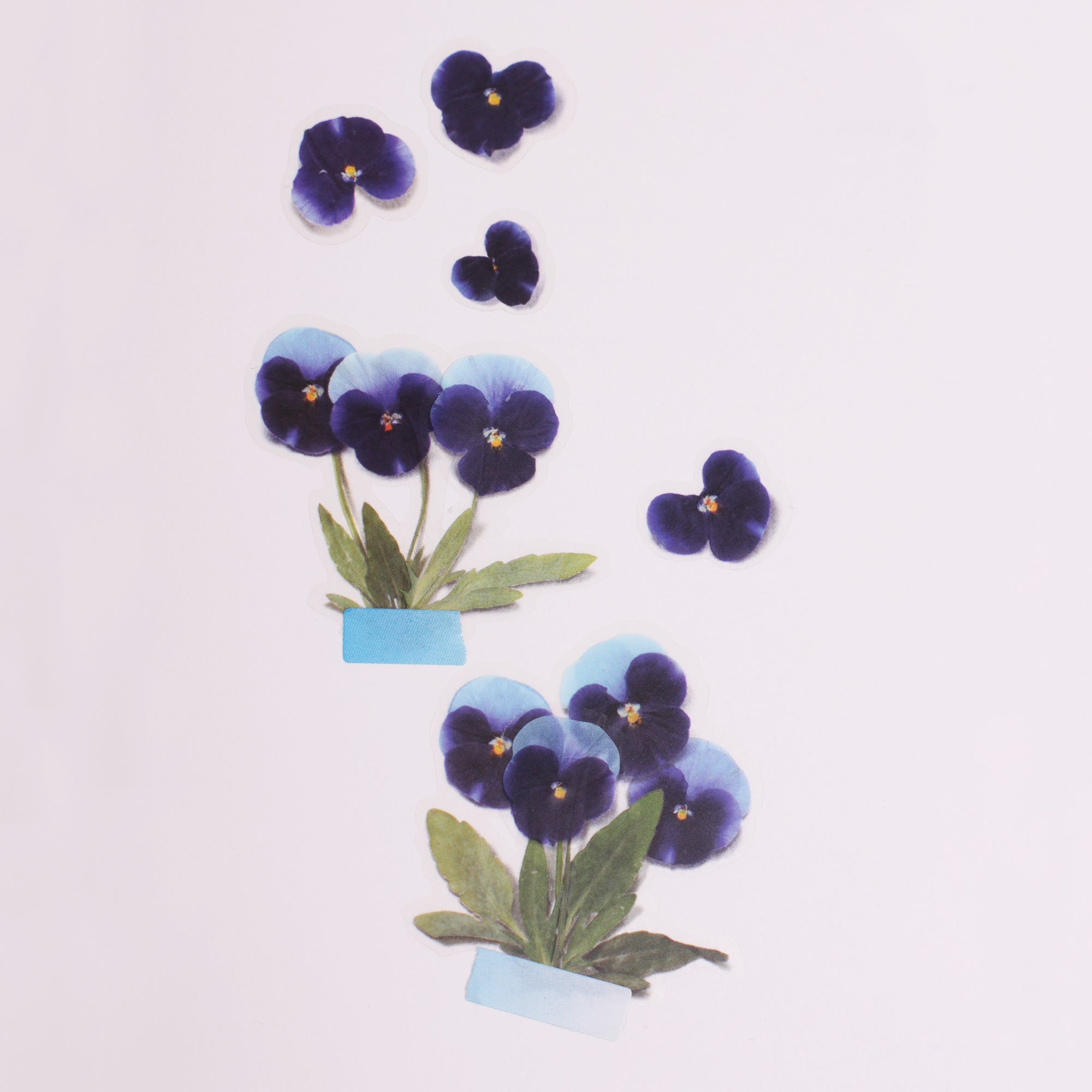 Appree - Pressed Flower Sticker - Pansy-Sticker-DutchMills