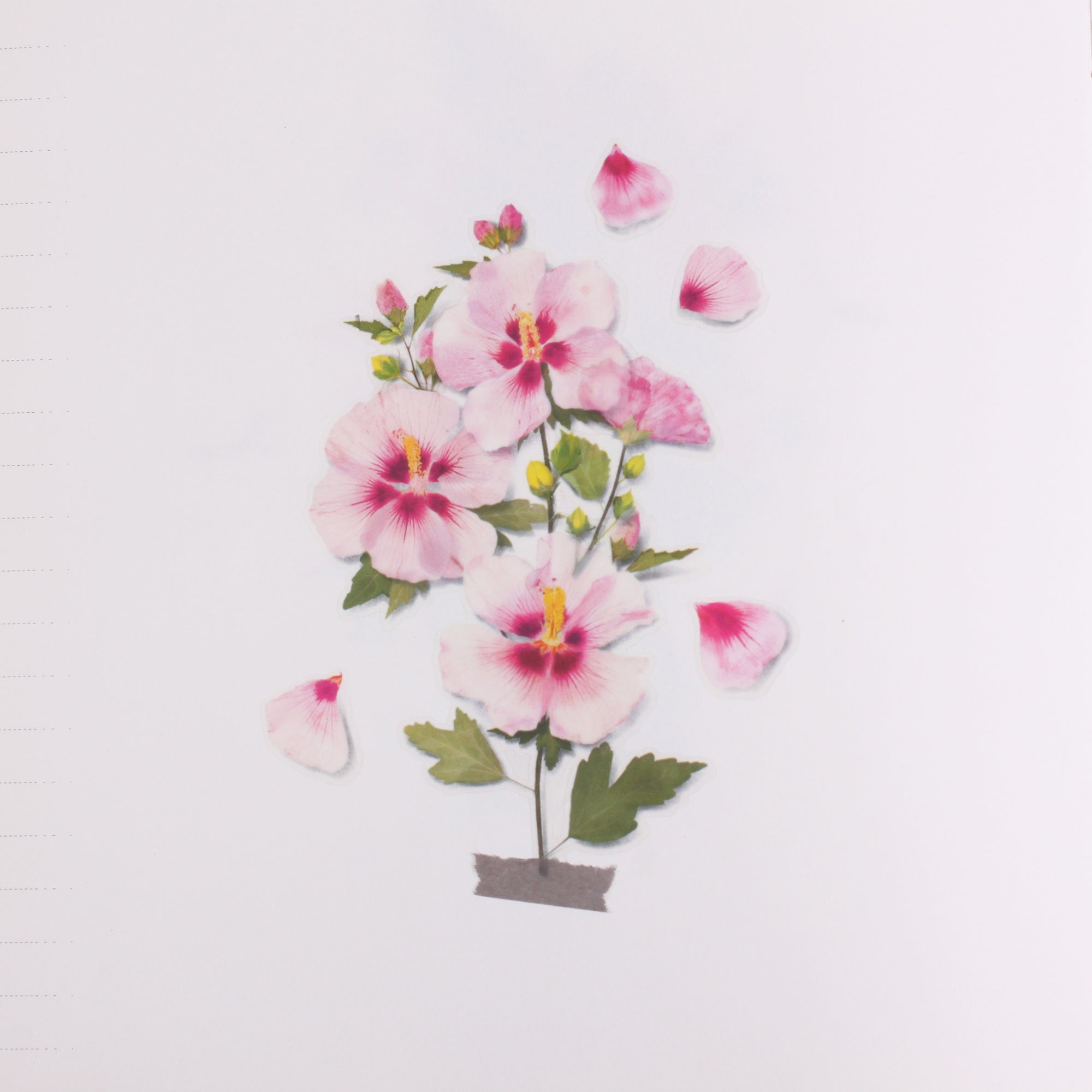 Appree - Pressed Flower Sticker - Rose Of Sharon-Sticker-DutchMills
