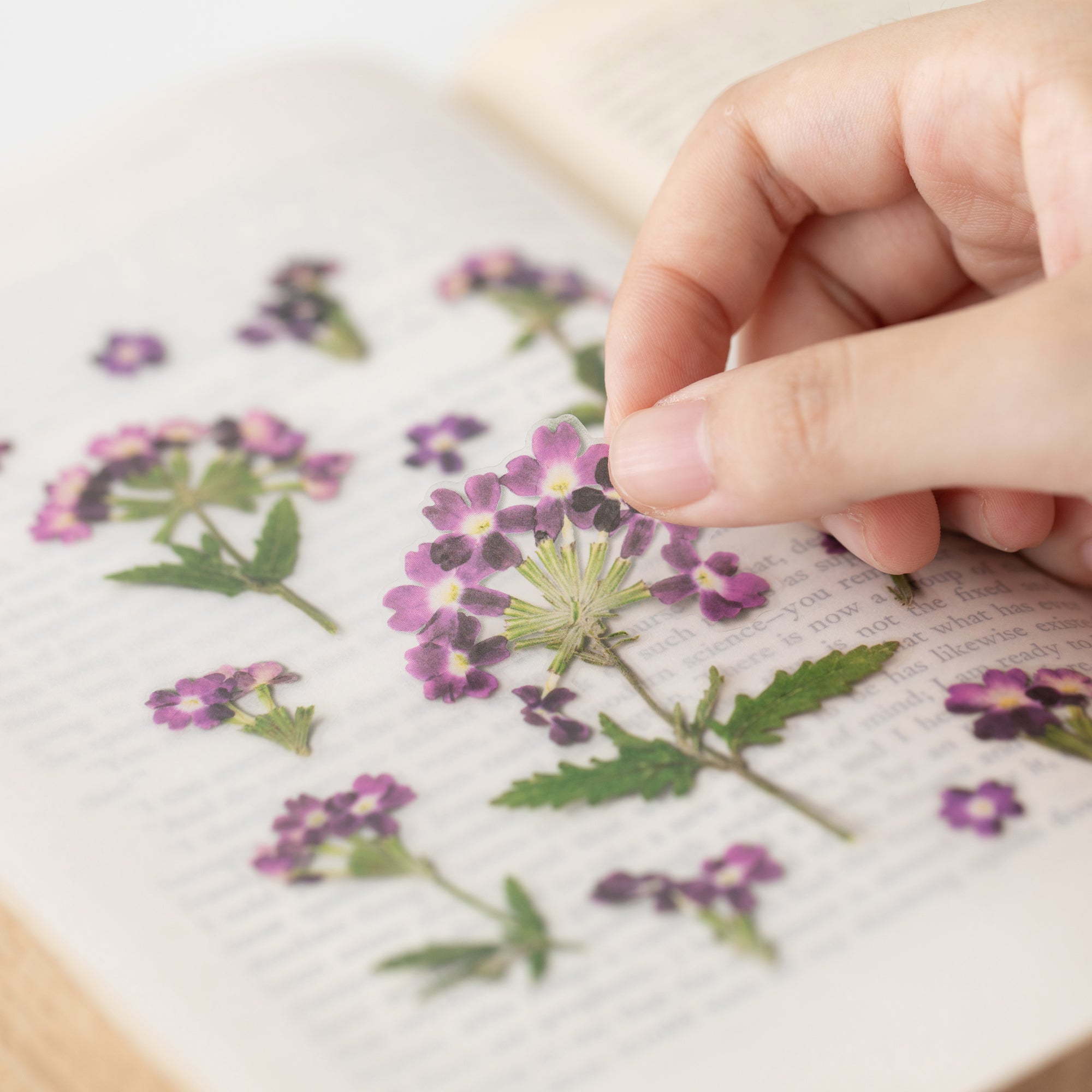 Appree - Pressed Flower Sticker - Verbena-Sticker-DutchMills