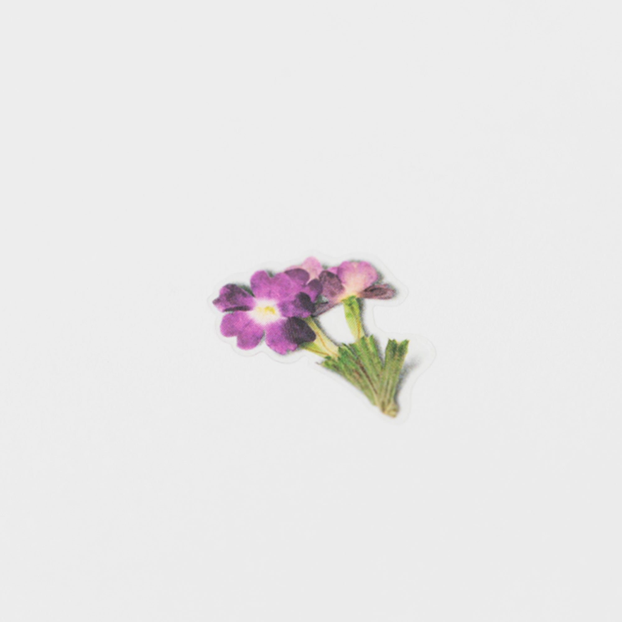 Appree - Pressed Flower Sticker - Verbena-Sticker-DutchMills