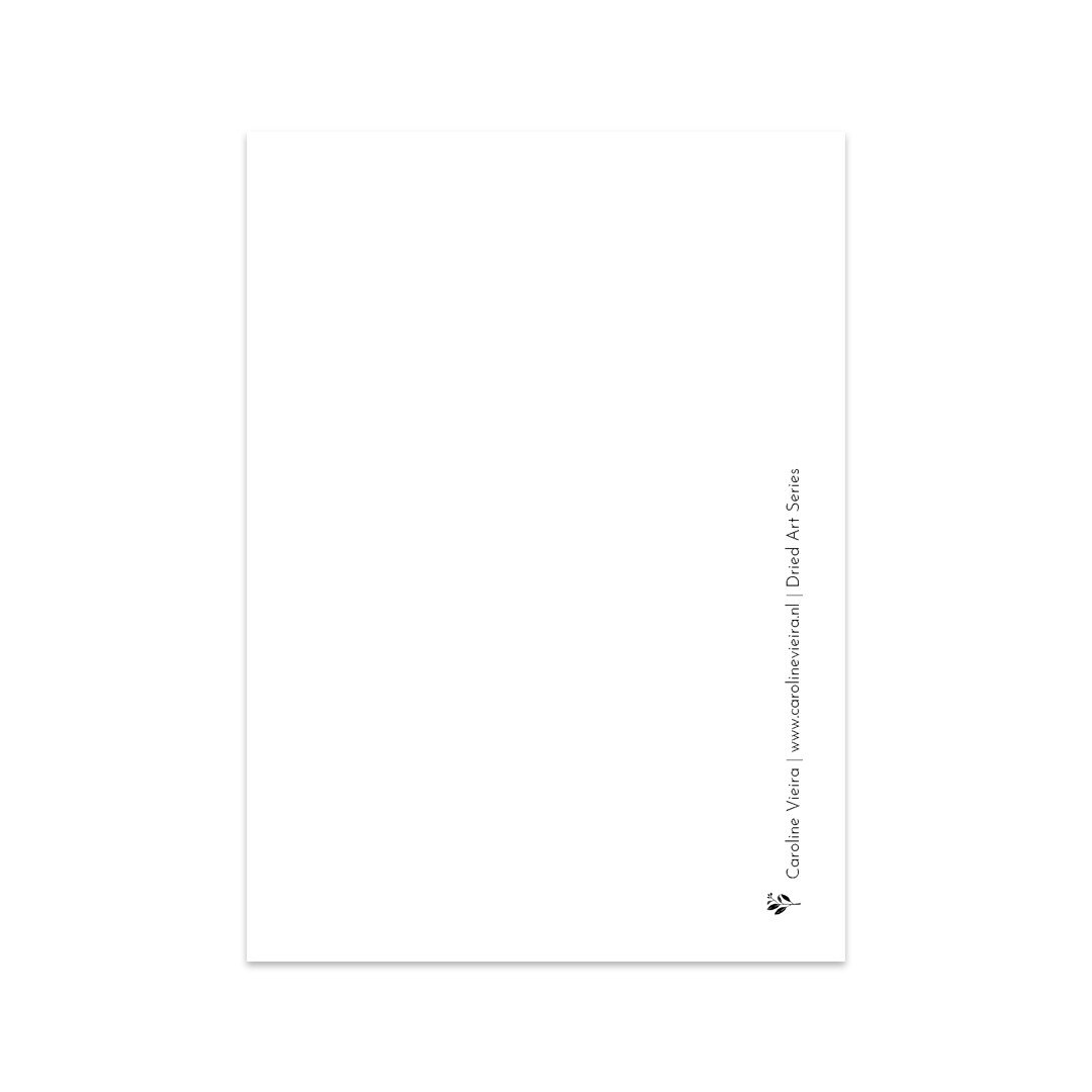 Caroline Vieira - Dancing Dread Flower-Kaart-DutchMills