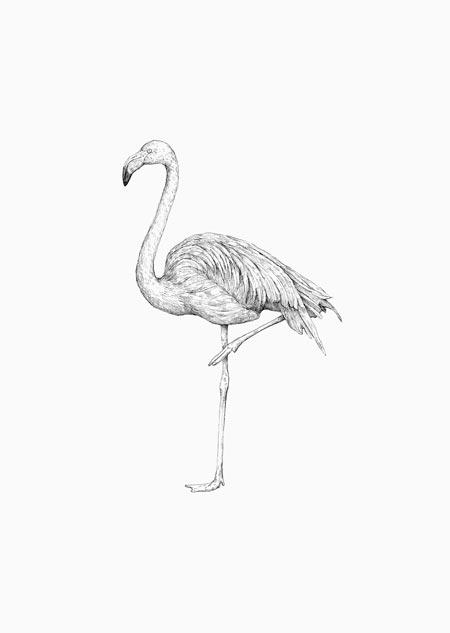 Inkylines - Flamingo-Kaart-DutchMills