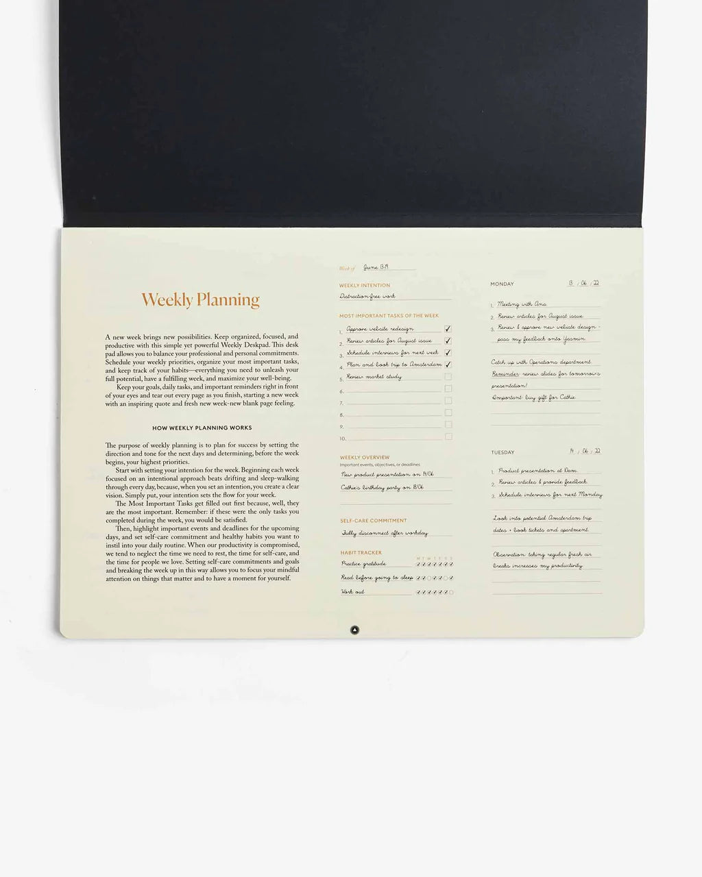 Intelligent Change - Productivity Weekly Desk Pad-Planner-DutchMills