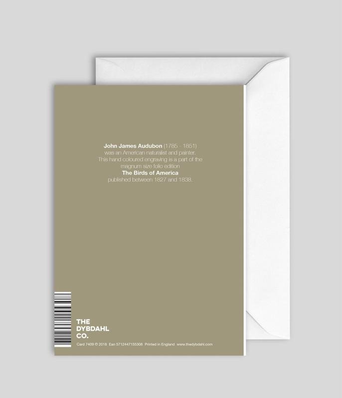 The Dybsahl Co. - Brown Pelican-Kaart-DutchMills