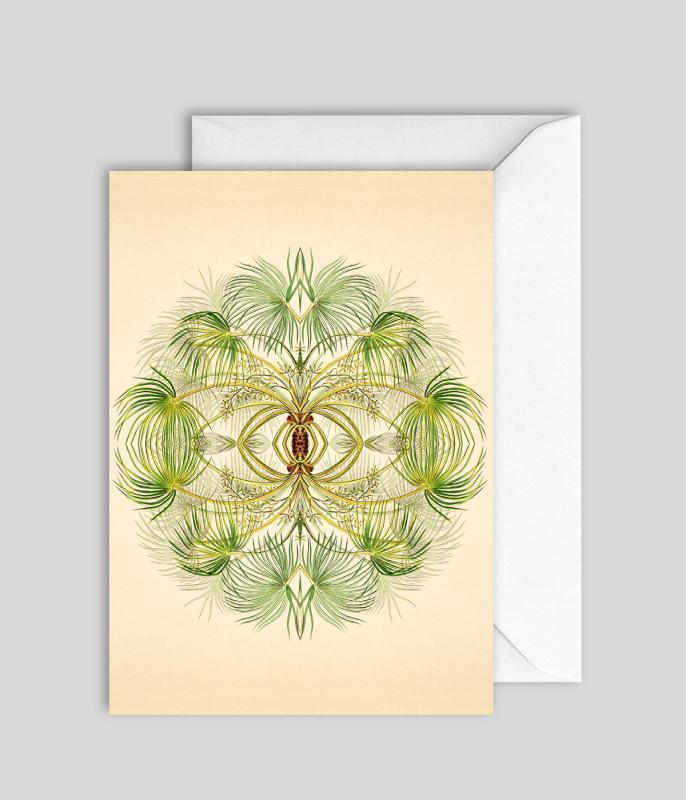 The Dybsahl Co. - Reflection-Kaart-DutchMills