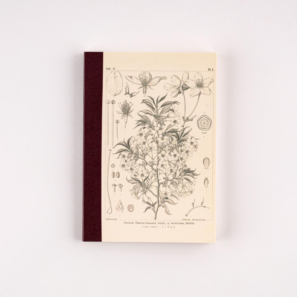 Hobonichi - Tomitaro Makino: Hobonichi Graph Notebook (A6) - Yamazakura - 2027-Notitieboek-DutchMills