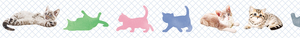 MT Masking Tape - Ex Kitten-Maskingtape-DutchMills