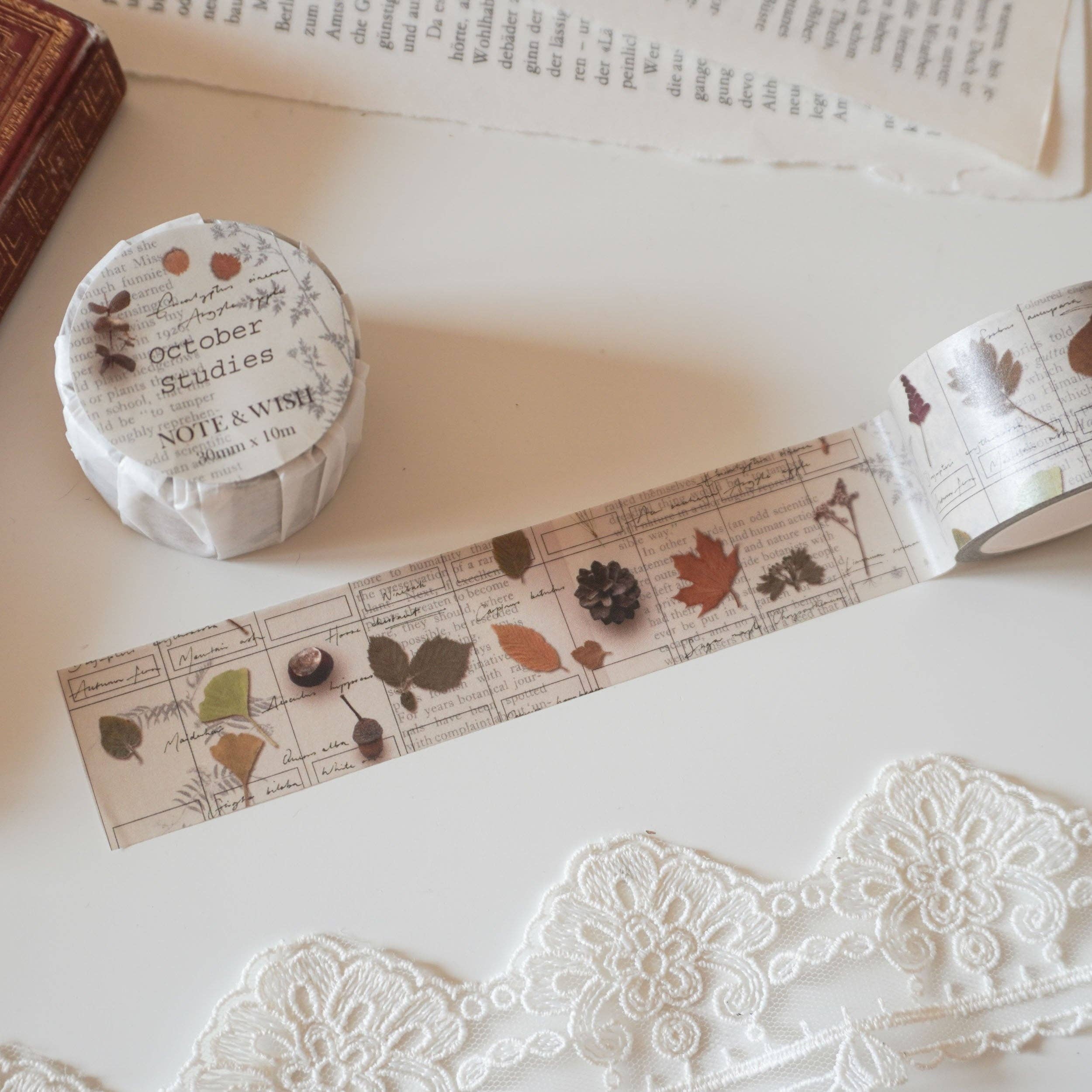 October Studies Washi Tape-DutchMills