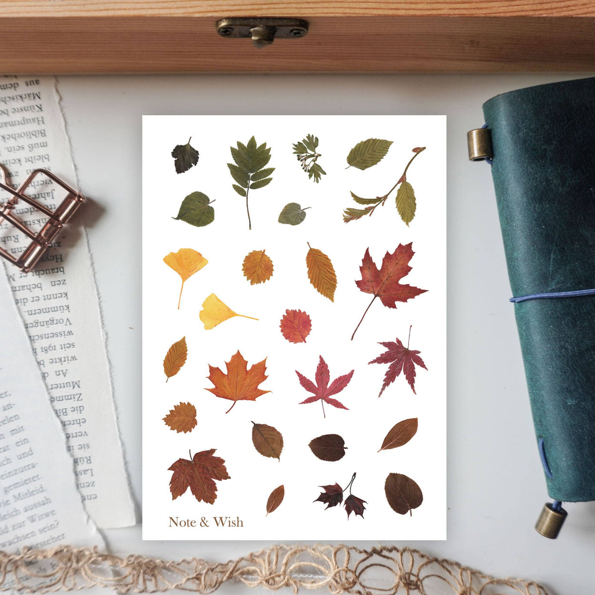 Note & Wish - Pressed Leaves - Washi Paper Sticker Sheet-DutchMills