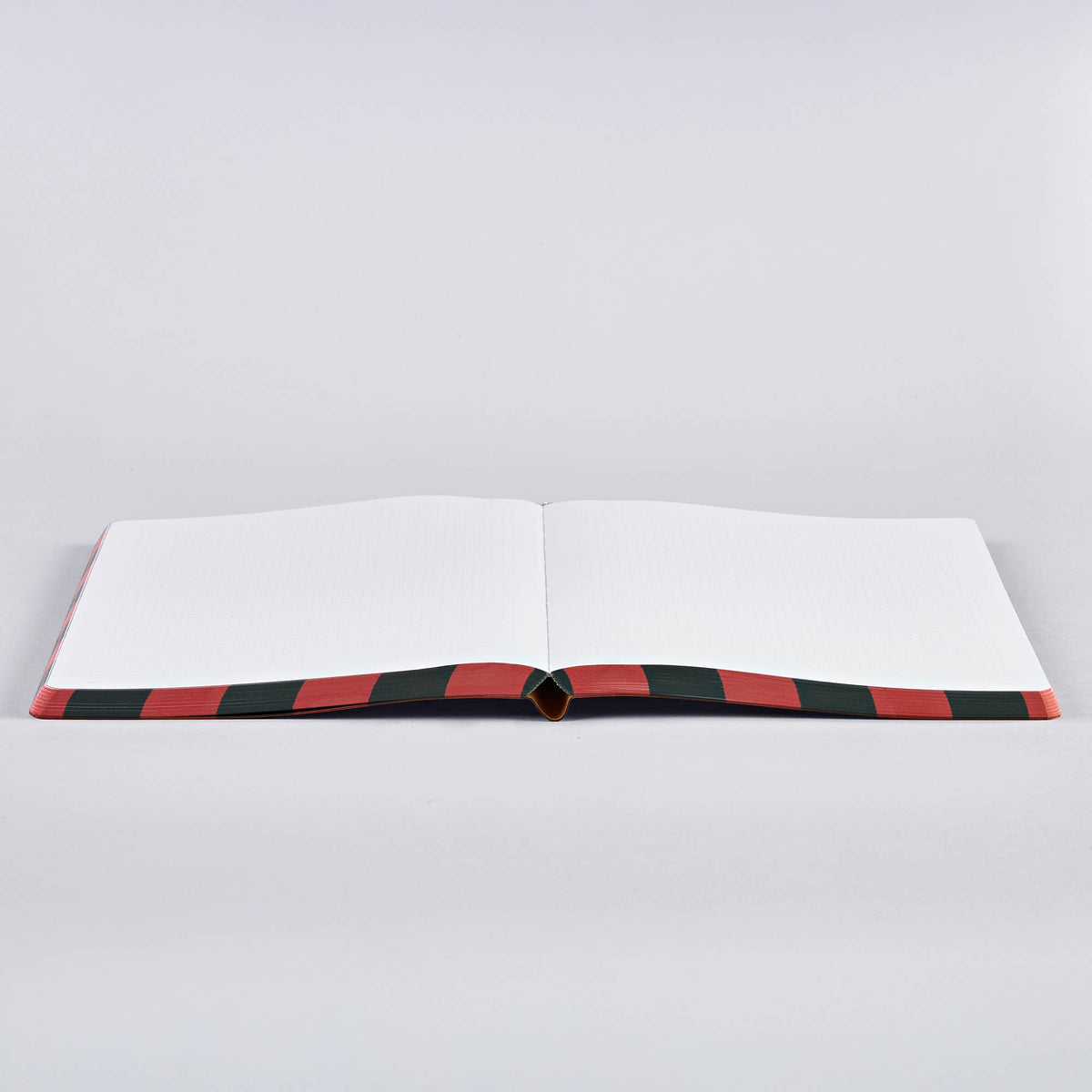 Notebook Eclectic L Night Moth-DutchMills