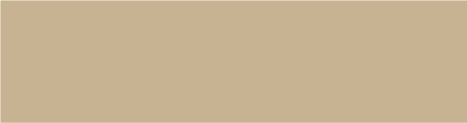 Washi Tape - manila beige / mt basic MT01P518Z-DutchMills