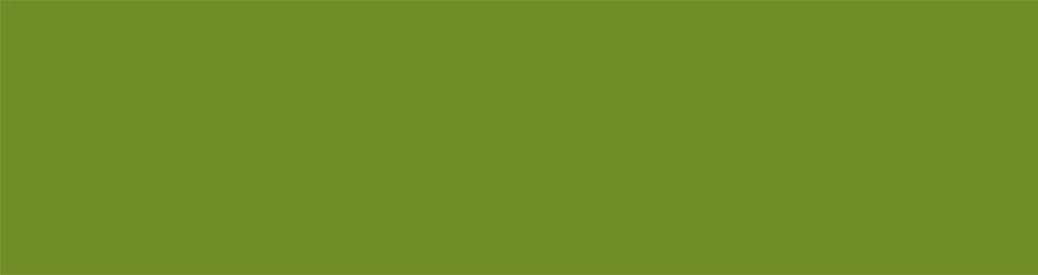 Washi Tape - olive green matte / MT01P527Z-DutchMills
