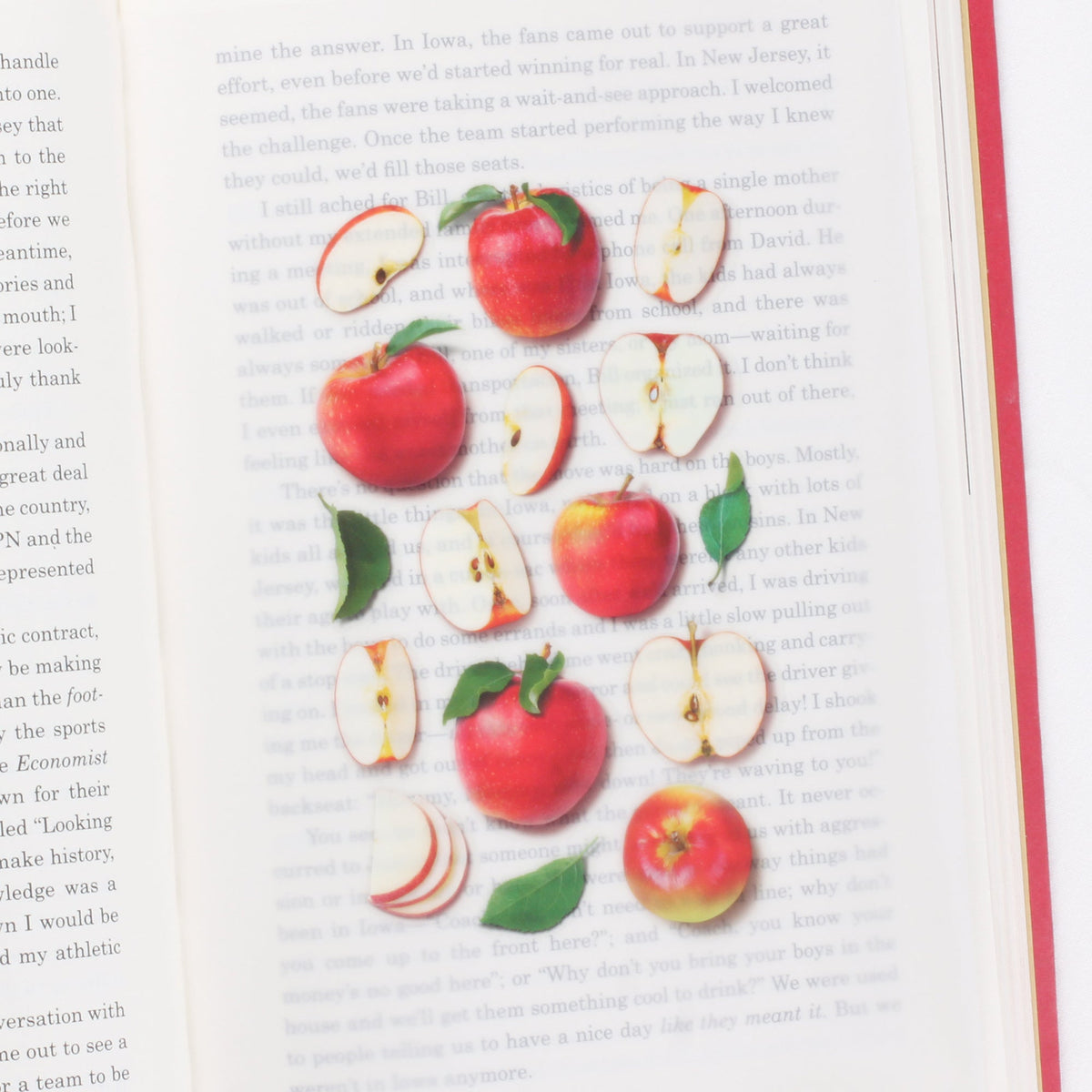 Appree - Fruit Sticker - Apple-Sticker-DutchMills