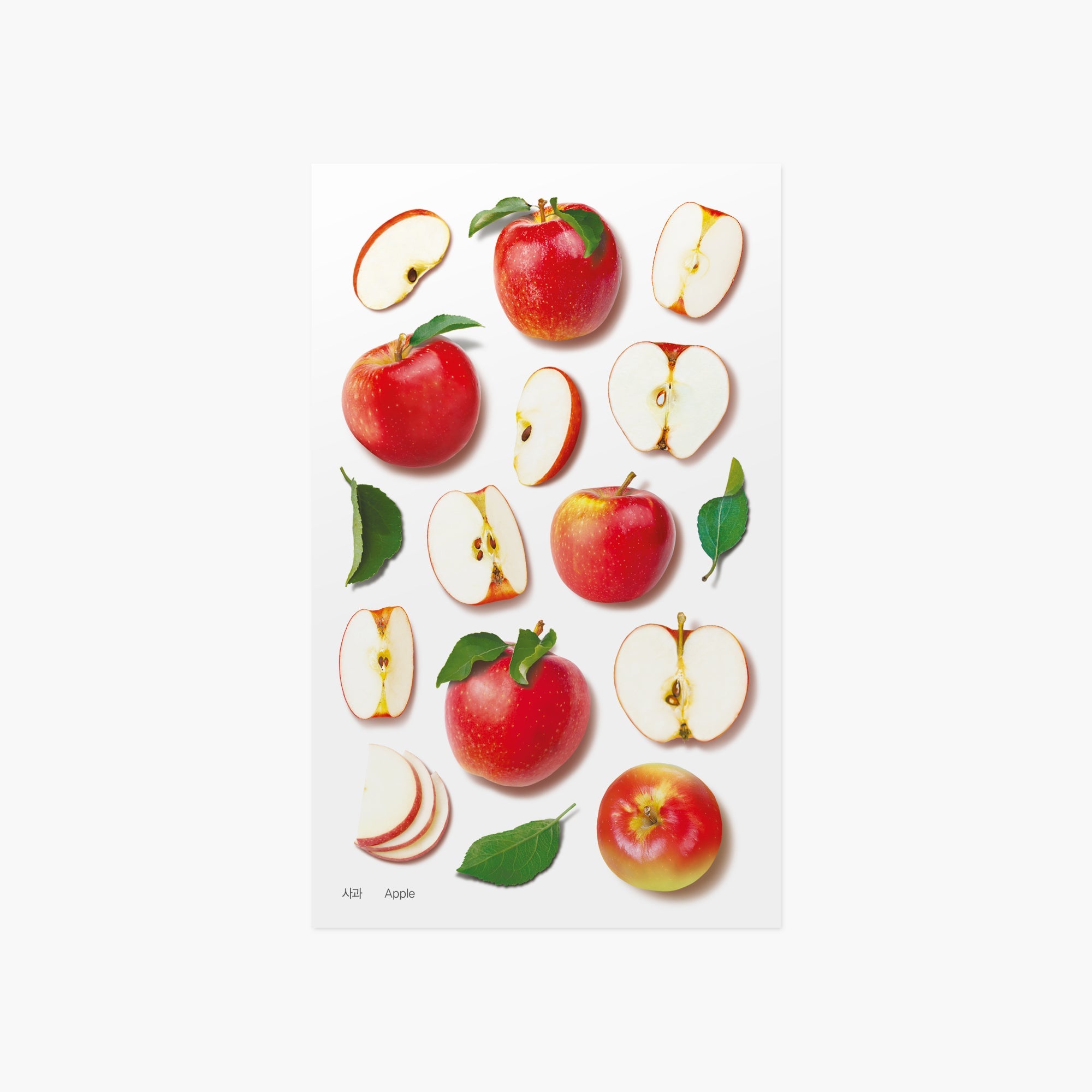 Appree - Fruit Sticker - Apple-Sticker-DutchMills