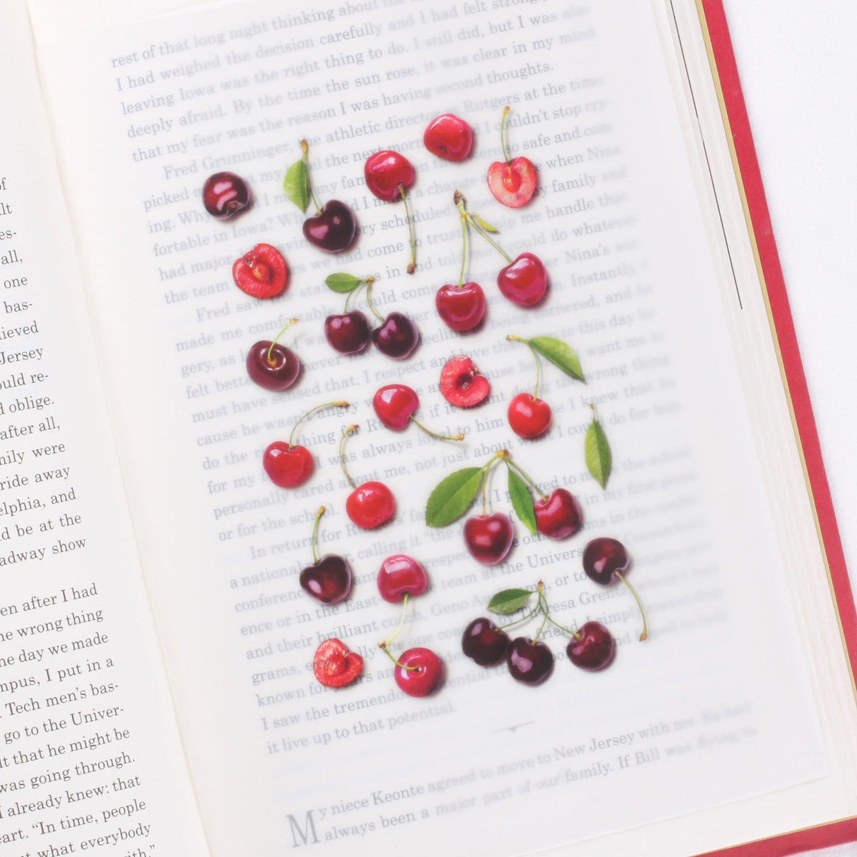 Appree - Fruit Sticker - Cherry-Sticker-DutchMills