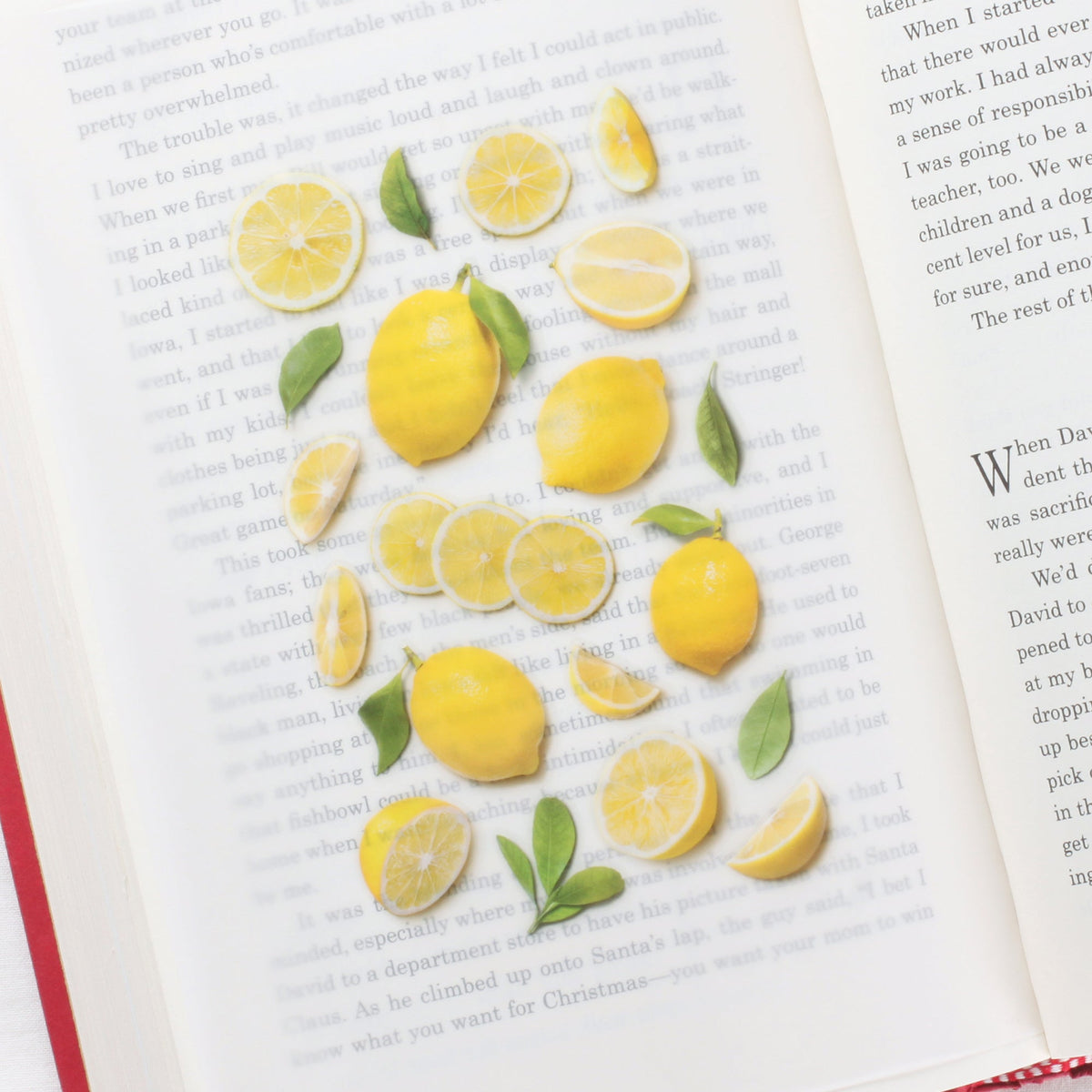 Appree - Fruit Sticker - Lemon-Sticker-DutchMills
